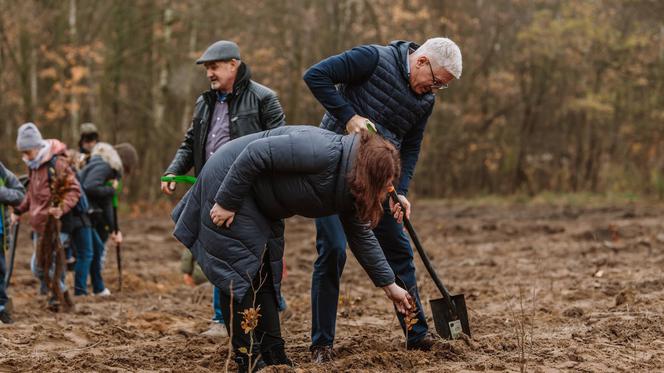 Rozpoczęto sadzenie lasu w miejscu planowanego pola golfowego