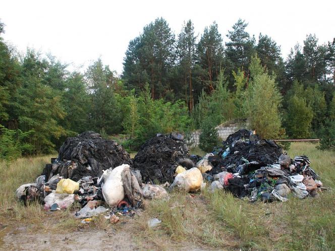 Nielegalne odpady na Podkarpaciu. Zatrzymano trzech mężczyzn ze Śląska