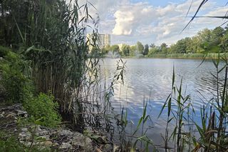 Zielona perła Bartodziejów. Odkryj uroki bydgoskiego Balatonu 