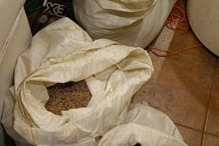 W związku ze sprawą zatrzymano 40-latka