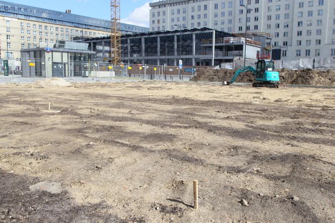 Zielona oaza na placu Powstańców Warszawy