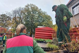 Zamiast asfaltu klomby z roślinami. Zmiany na Tylnej i Wałowej w Lesznie