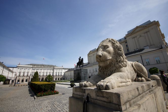 Jeden z kamiennych lwów przed Pałacem Prezydenckim