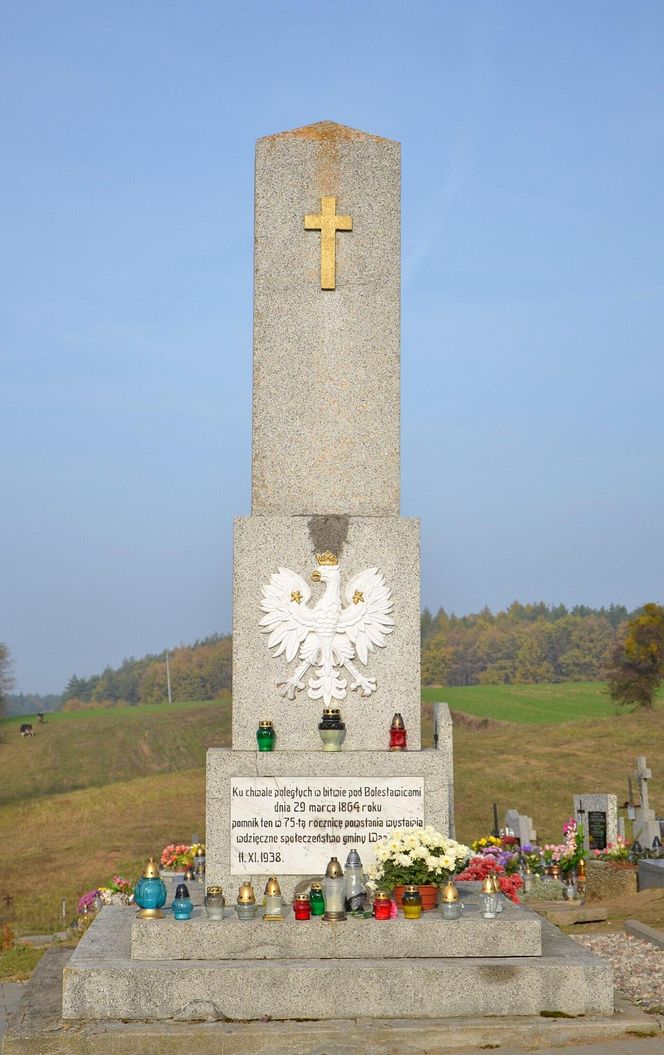 Radziki Duże