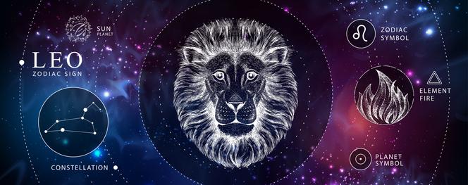 Znaki zodiaku: LEW (23.07 – 23.08)