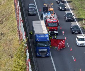 Śmiertelne potrącenie na A2. Nie żyje 71-letni kierowca ciężarówki