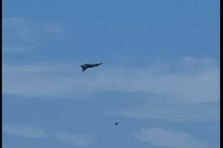 Wypadek lotniczy Kosakowo