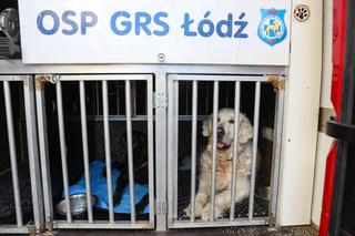 Runęła część opustoszałej kamienicy na ul. Nawrot