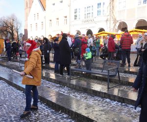 Bieg Mikołajów w Olsztynie. Około 400 osób pobiegło w charytatywnym celu [ZDJĘCIA]