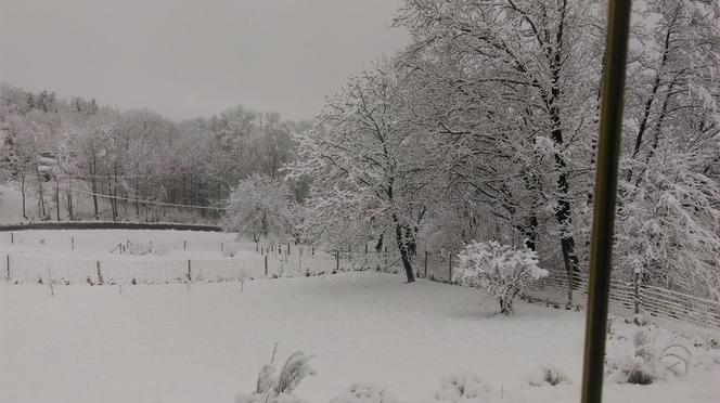 Na Podkarpaciu zrobiło się biało