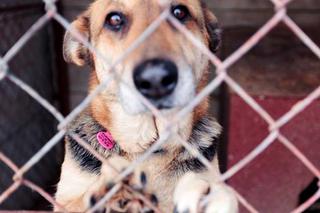 Gerda znów straciła dom