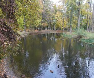 Park Lubomirskich w Białymstoku jesienią 