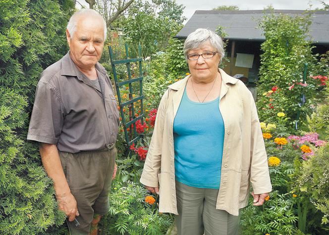  Działkowcy dostaną działki za darmo!