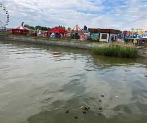 Krynica Morska to popularne miejsce na urlop. Jakie sątu ceny?