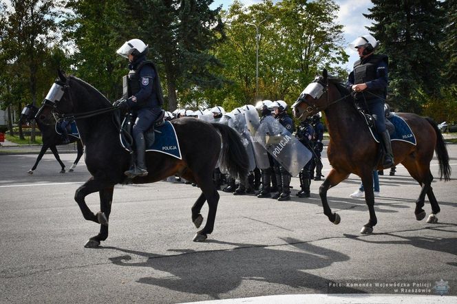 Policyjne konie zdały egzamin!