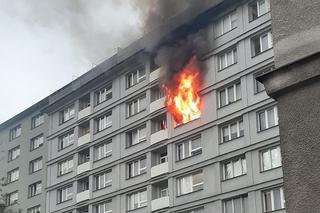 Płonął blok na Woli w Warszawie. Jedna osoba nie żyje. Wstrząsające WIDEO