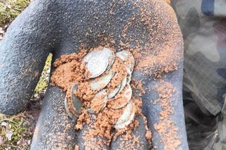 Cenne odkrycie w Borach Tucholskich. Za jedną taką srebrną monetę Krzyżacy kupowali bochenek chleba czy garść soli