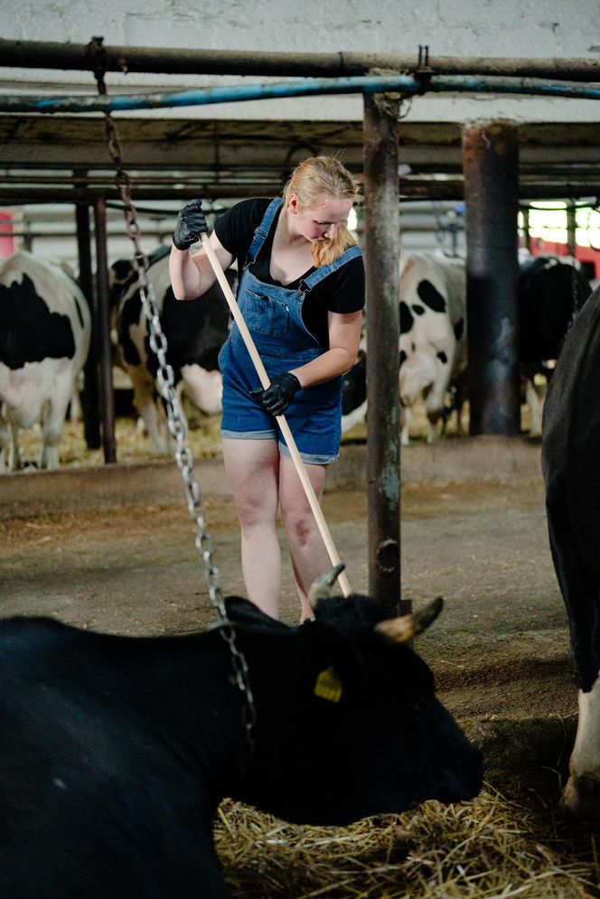 "Rolnik szuka żony"