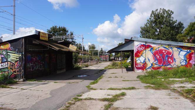 Zdemolowane rudery niemal w centrum Olsztyna. „Smród bywa podobno nie do zniesienia” [ZDJĘCIA]