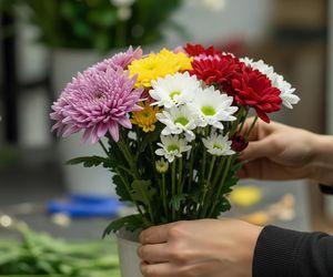 Kwiaty na cmentarzu dłużej świeże. Jak prosty trik odmieni ich trwałość?