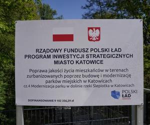 Tak wygląda park w dolinie Ślepiotki w Katowicach