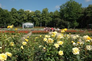 Ogród Różany w Szczecinie 