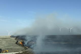 Śmiercionośny pożar w Teksasie strawił niemal 405 tys. hektarów