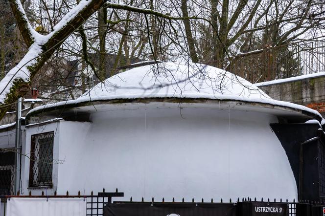 Kopulaki z Osiedla Zakątek w Warszawie - zobacz zdjęcia domów-grzybów