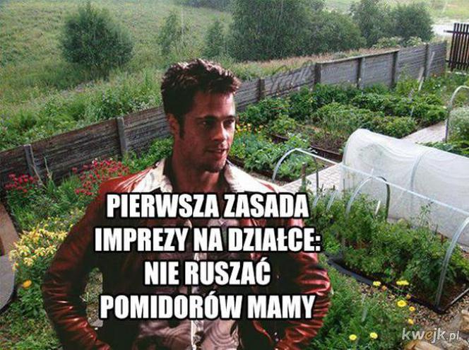 Majwówka 2020 memy