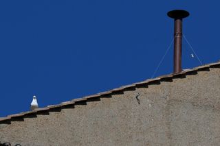 Przygotowania do konklawe 2025