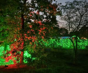 Otwarcie Lumina Parku w Poznaniu. Tegoroczne świecące miasteczko robi fenomenalne wrażenie!