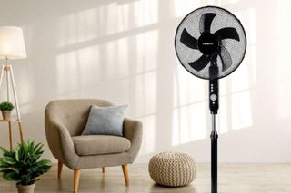 Aldi z promocją na upały