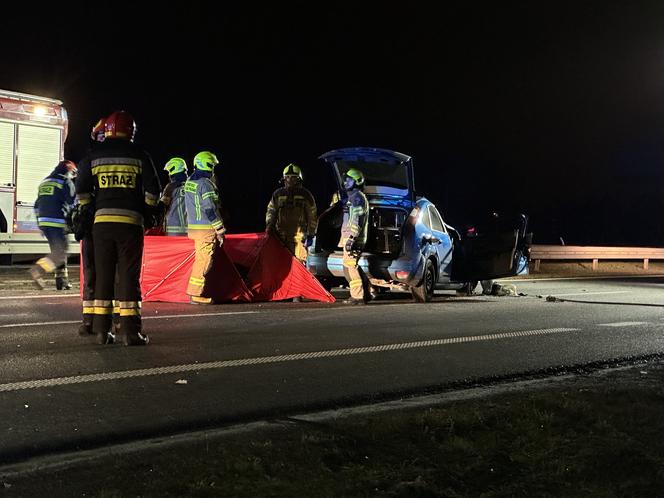 Tragiczny wypadek pod Warszawą. Chciał ominąć psy, roztrzaskał się o słup. Nie żyje