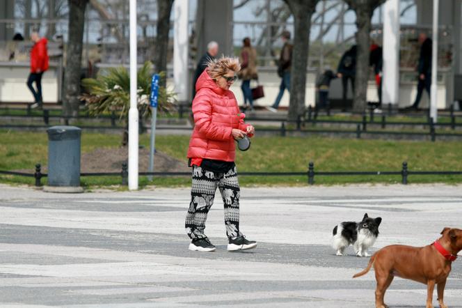 Szakira cierpliwie czekała na pancię