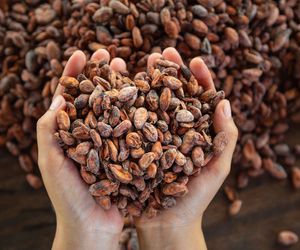 Kakao - 10,7 mg żelaza w 100g produktu,