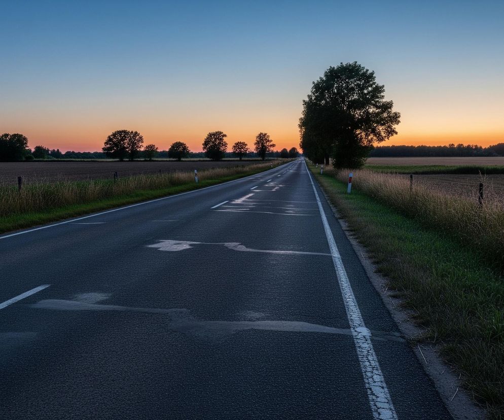 Asfaltowa droga biegnie prosto w głąb obrazu, znikając w oddali. Na jej powierzchni widoczne są białe linie ciągłe i przerywane, a także nieregularne, ciemniejsze plamy wilgoci. Po obu stronach drogi rozciągają się pola uprawne w brązowym kolorze, oddzielone od asfaltu pasami zielonej i suchej trawy oraz pojedynczymi, ciemnymi drzewami. Horyzont dominuje rozległe niebo, przechodzące od jasnego błękitu na górze do pomarańczowo-różowych odcieni zachodu słońca bliżej linii drzew.