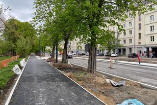 Zmiany w organizacji ruchu przy Północnej. Co o remoncie sądzą łodzianie?