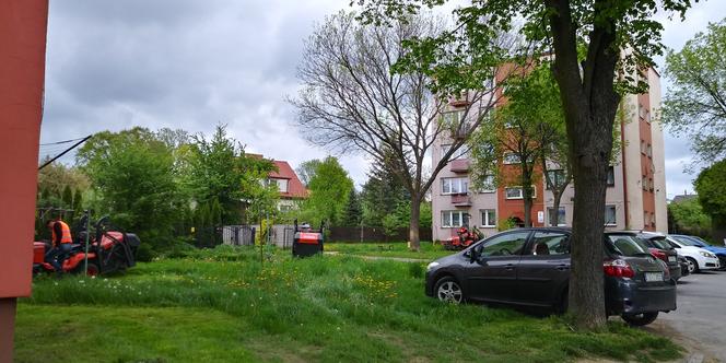 "Starachowiczanka" w akcji