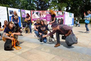 Szukały kochających ludzi na Placu Litewskim