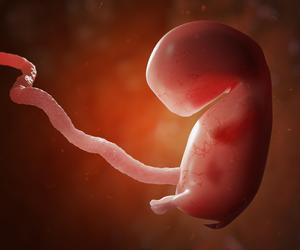 Szokujące odkrycie: naukowcy wyhodowali model ludzkiego zarodka. Bez plemników i komórki jajowej