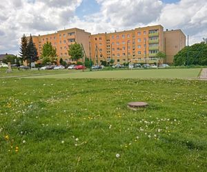 Pół boiska w Kielcach