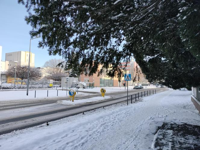 Takiej zimy we Wrocławiu  nie było od kilku lat. Zobacz te piękne ośnieżone miejsca