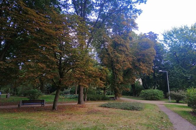 Park Centralny
