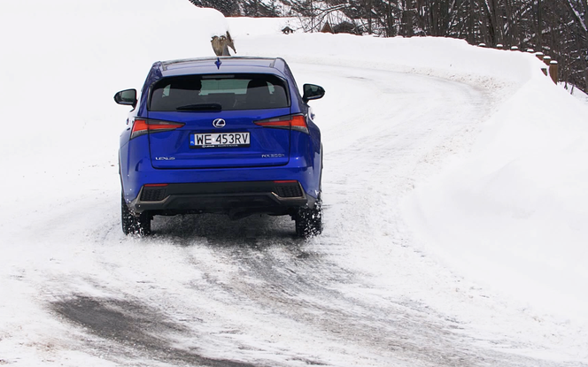 Lexus NX 300h AWD F Sport