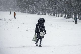 Śnieg i dwucyfrowy mróz. Zima zbliża się do Polski. Synoptycy wskazali konkretną datę!