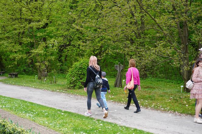 Ogród Botaniczny w Lublinie