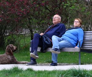 Ilona Łepkowska z mężem i psem na spacerze w Sopocie