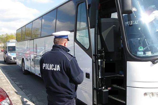 Plaga pijanych kierowców autokarów. Chcą wozić dzieci „na podwójnym gazie”