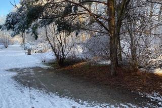 Dolina Gęśnika w Zielonej Górze w styczniu 2023 r.