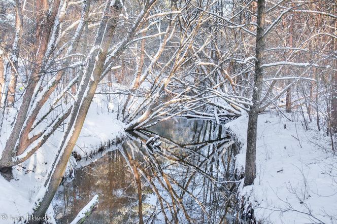 Czarniecka Góra - klimatyczna wieś w Świętokrzyskiem